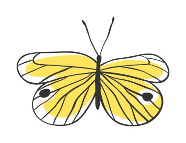 İzole kelebek. El vektör çizim çekilmiş. Dekoratif elemanları tasarımı için. Siyah kontur çizim. Yaratıcı mürekkep sanat eseri