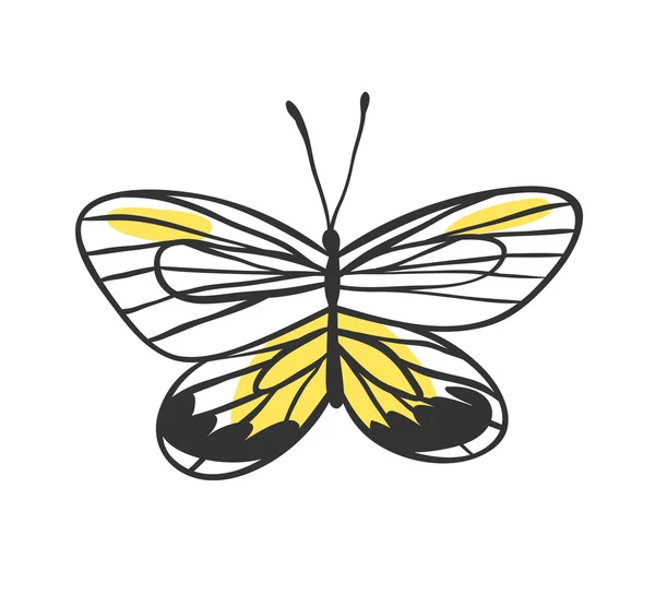 Borboleta isolada. Ilustração vetorial desenhada à mão. Elementos decorativos para design. Desenho de contorno preto. Tinta criativa obra de arte —  Vetores de Stock