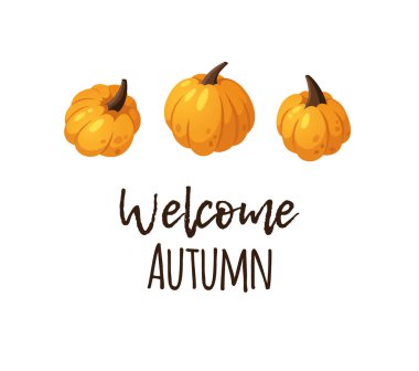 Metinli Balkabağı Baharat Mevsimi Görüntü. El yapımı stil sebze. Vektör taze organik gıda ve alıntı yapıyor. Yaz illüstrasyonunda meyve püresi veya turta için vejetaryen malzemeler