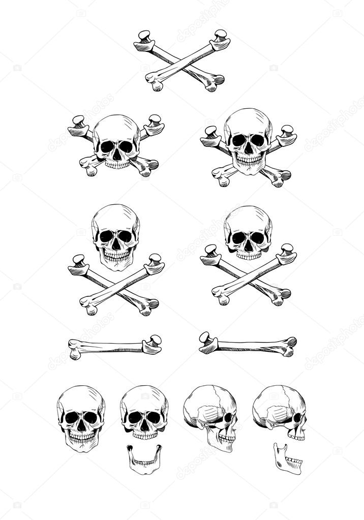 Vector set of skulls, black contour