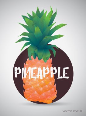 Parlak renk ananas. Vektör çizim.