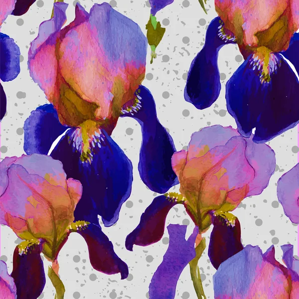 Sulu Boya Dikişsiz desen vektör Iris çiçeklerle