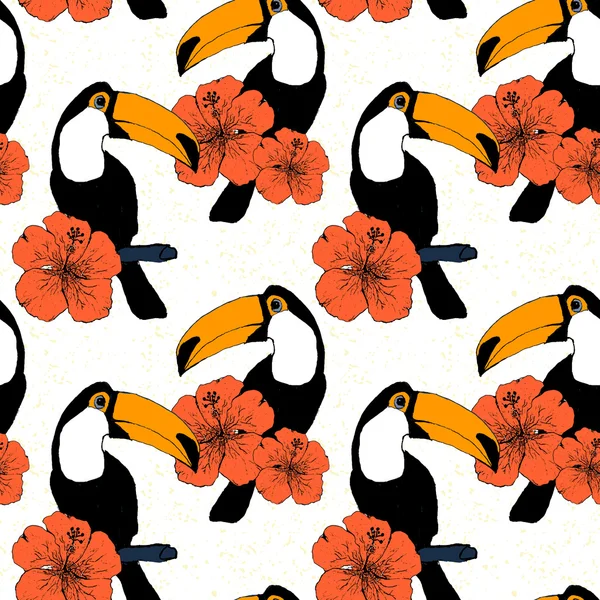 Toucans vektör ile el çekilmiş seamless modeli