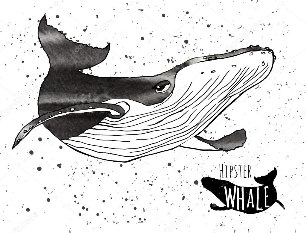 Hand drawn grunge watercolor whale. Vector illustration. Logo design