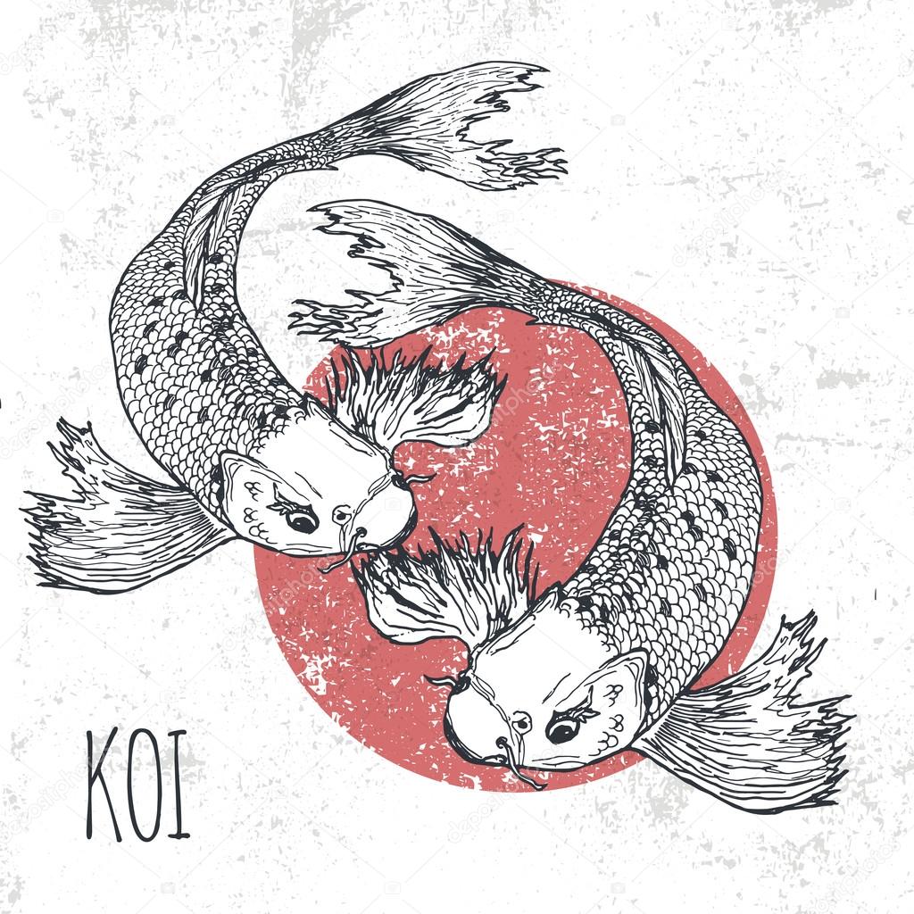 Koi fish vector illustration. Print for t-shirt graphic and other uses