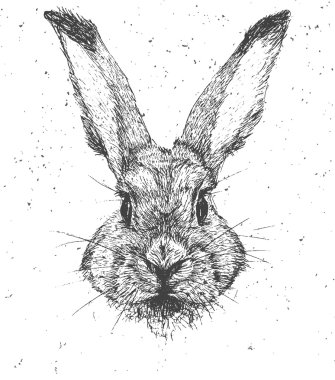 Vintage grafik tavşan vektör yazdırma