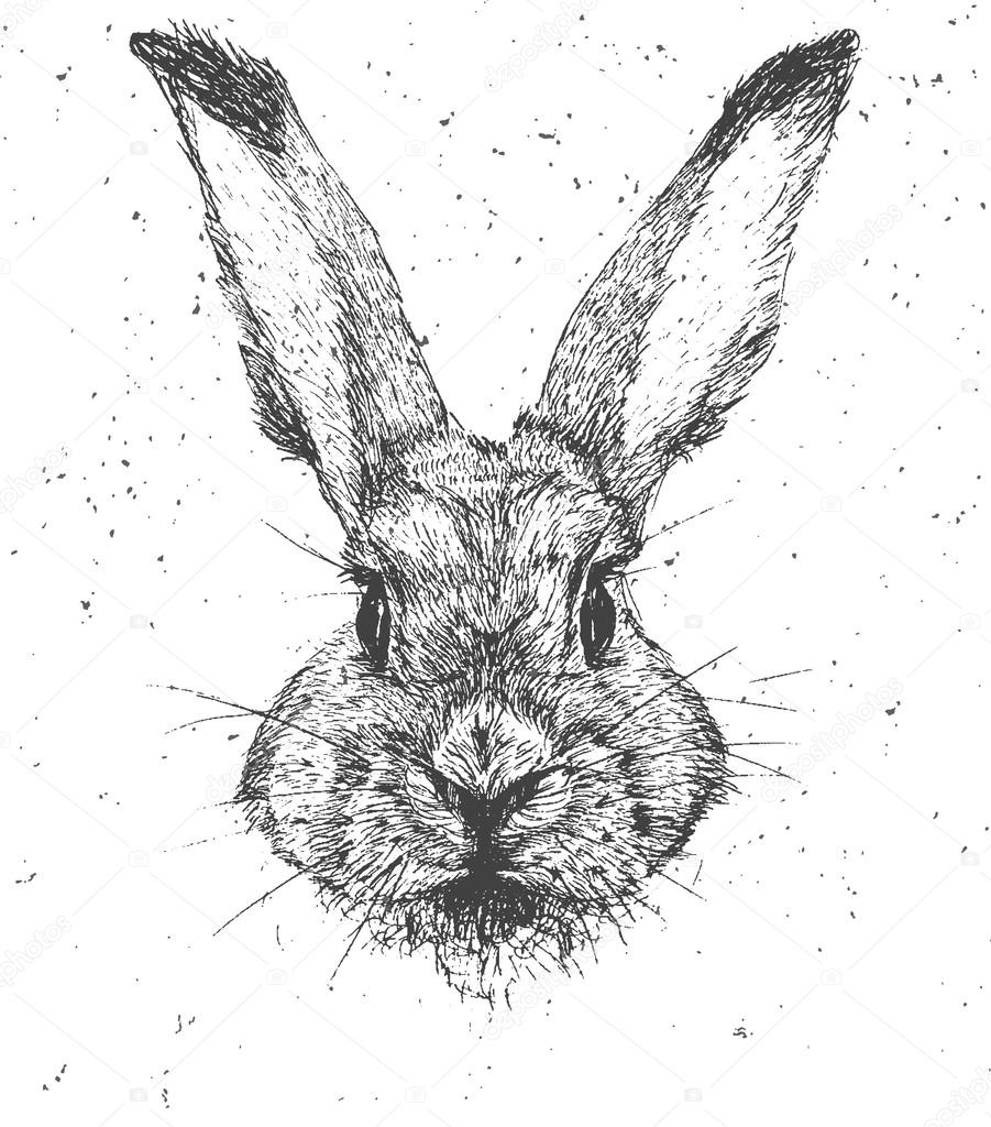Vintage graphic Rabbit Vector Print