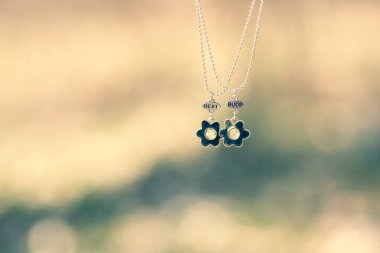 Kolye en iyi arkadaşlarıydı. İki kolye bir yaz günü kapalı çekimde dışarıda çekiliyor. Seçici Odaklanma