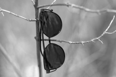 Siyah lensli ve siyah çerçeveli kedi gözü güneş gözlüğü özel tasarımı yaz günü çekilen bayanlar için. Seçici odak 