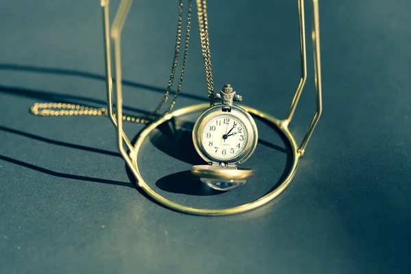 Montre de poche avec une tête de loup conception gros plan. Focus sélectif — Photo