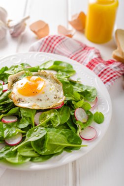 Taze ıspanak, turp salatası kızarmış yumurta ile