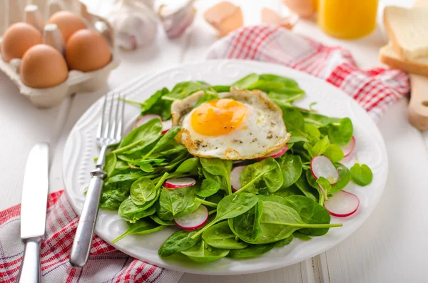 Espinacas frescas, ensalada de rábano con huevo frito —  Fotos de Stock