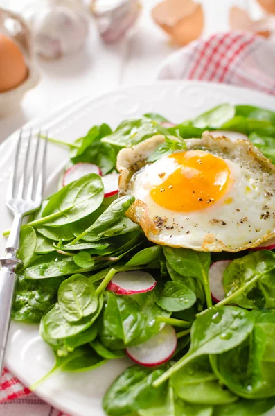 Čerstvý špenát, ředkvičky salát s vejcem — Stock fotografie