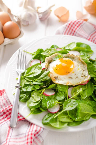 Verse spinazie, radijs salade met gebakken ei — Stockfoto