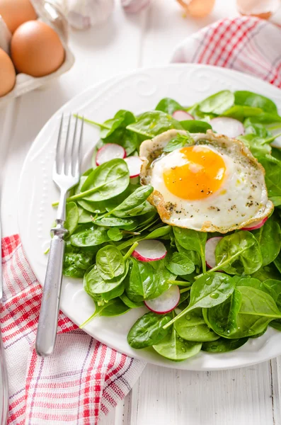Свежий шпинат, салат из редиса с жареным яйцом — стоковое фото