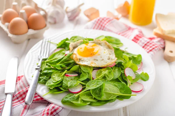 Taze ıspanak, turp salatası kızarmış yumurta ile — Stok fotoğraf