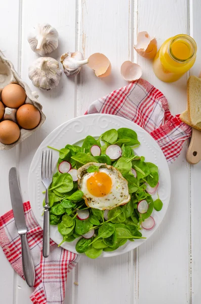 Taze ıspanak, turp salatası kızarmış yumurta ile — Stok fotoğraf