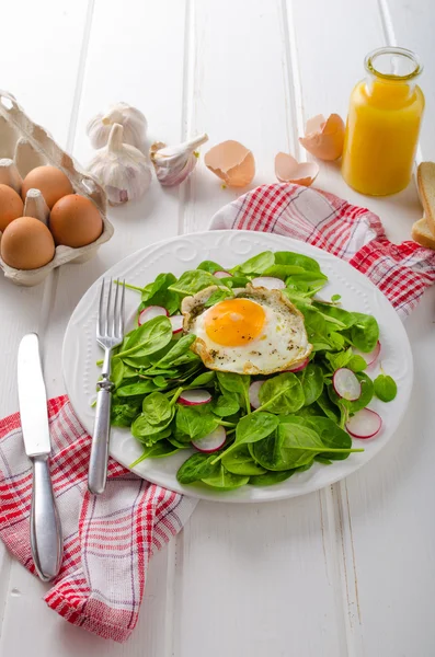 Verse spinazie, radijs salade met gebakken ei — Stockfoto