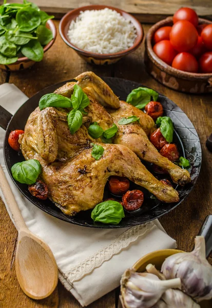 Kyckling i ugn med tomater och basilika på järn pan — Stockfoto