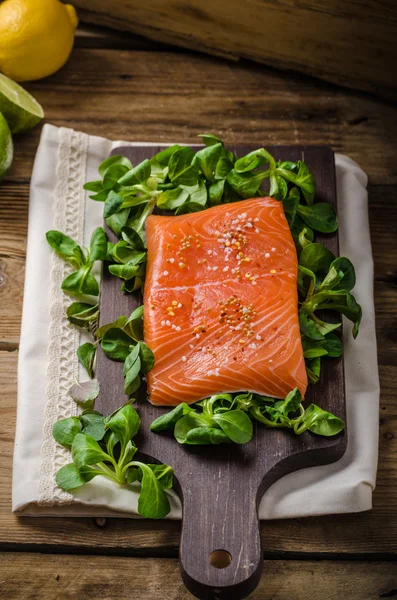Fresh salmon with salad — Stock Photo, Image