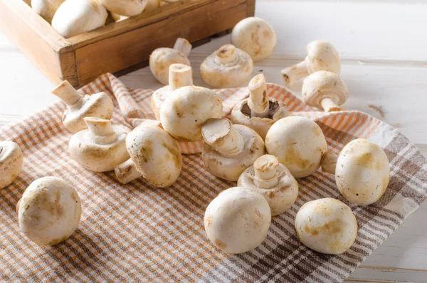 Fresh mushrooms cleaning Stock Picture