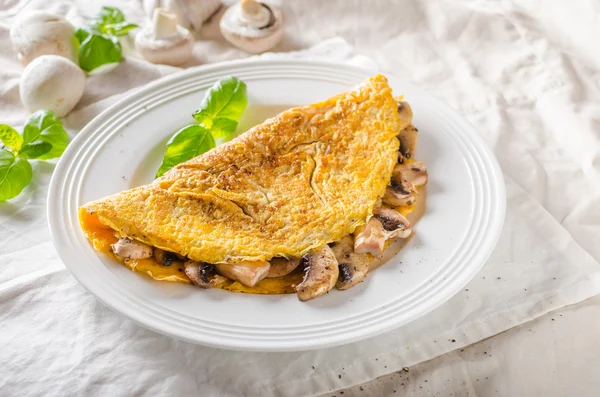 Frittata rustica con funghi — Foto Stock