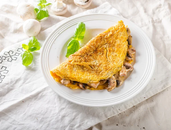 Rustic omelet with mushrooms — Stock Photo, Image
