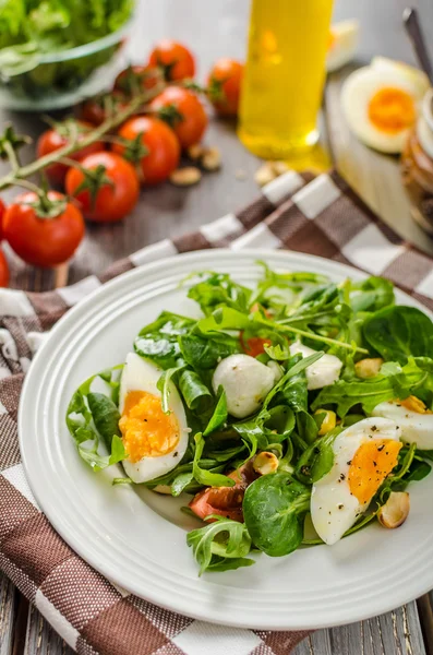 Lamm sallad sallad med ägg — Stockfoto