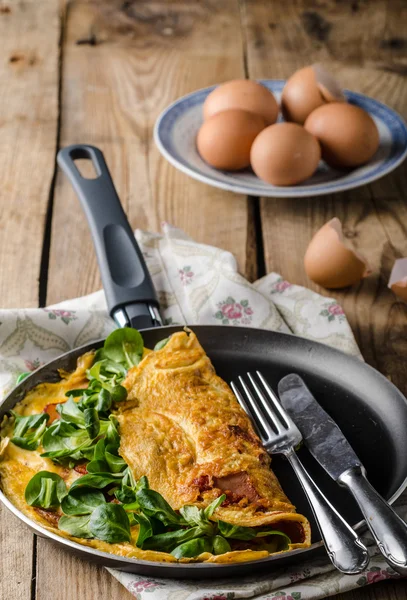 Biologische omelet met kruiden — Stockfoto