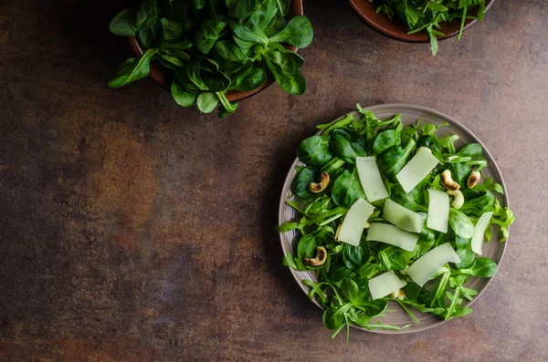 Frischer Salat bio — Stockfoto