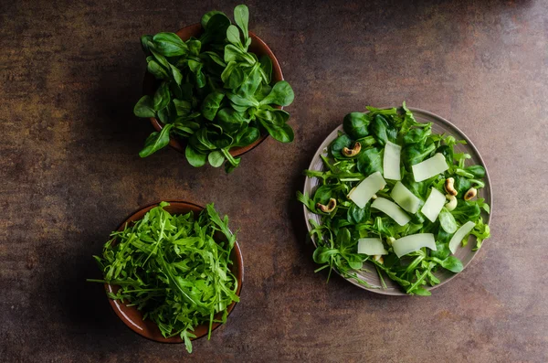 Frisse salade bio — Stockfoto