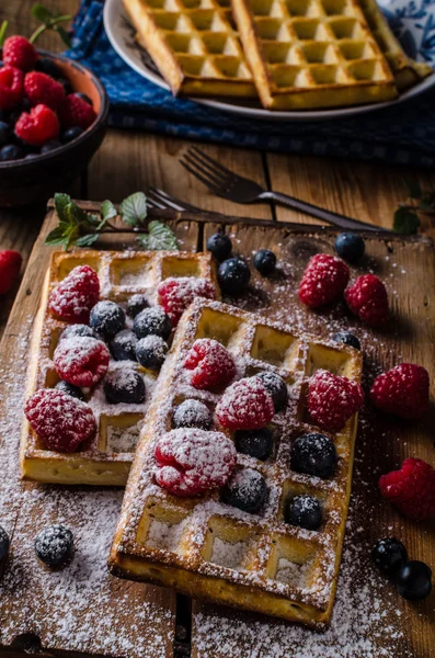 Meyveli waffle. — Stok fotoğraf