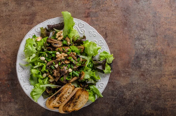 Svampsallad med valnötter — Stockfoto