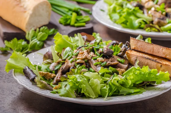 Svampsallad med valnötter — Stockfoto