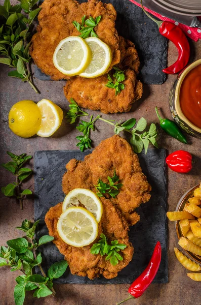 Schnitzel met friet, salade en kruiden — Stockfoto