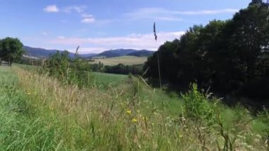  Çek manzara çayır