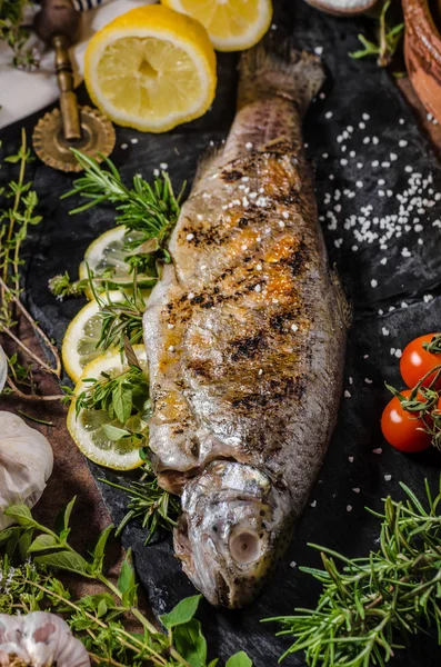 Gegrillte Forelle mit Kräutern — Stockfoto