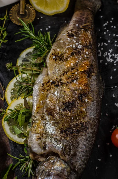Grilled trout with herbs — Stock Photo, Image