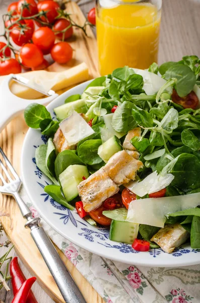 Salade met gegrilde kip — Stockfoto