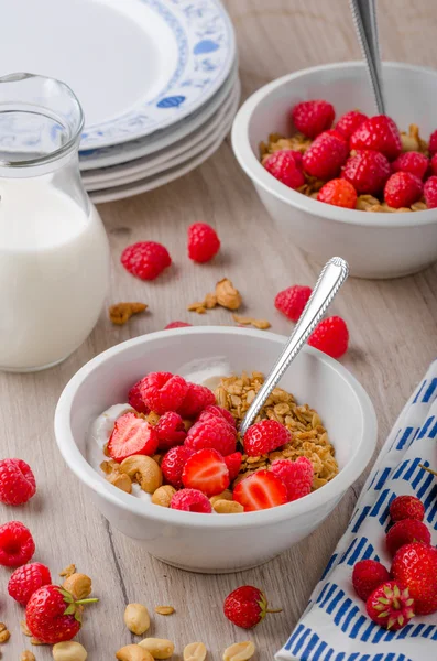 Granola al forno con noci — Foto Stock