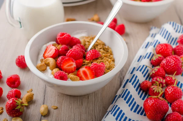 Granola al forno con noci — Foto Stock