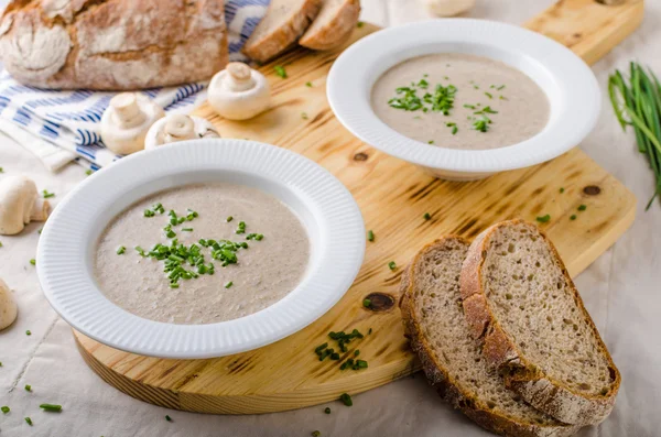 Fløte med soppsuppe – stockfoto