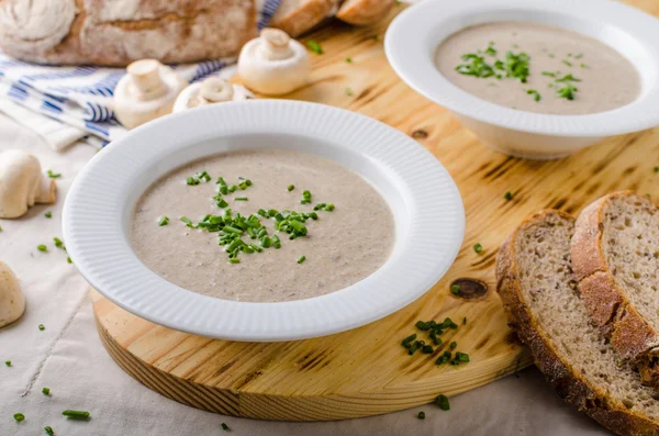 Crema de sopa de champiñones —  Fotos de Stock