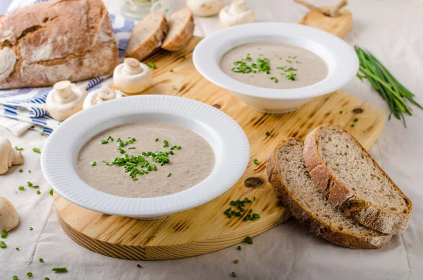 Champignon-Creme — Stockfoto