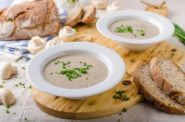 Crema de sopa de champiñones —  Fotos de Stock