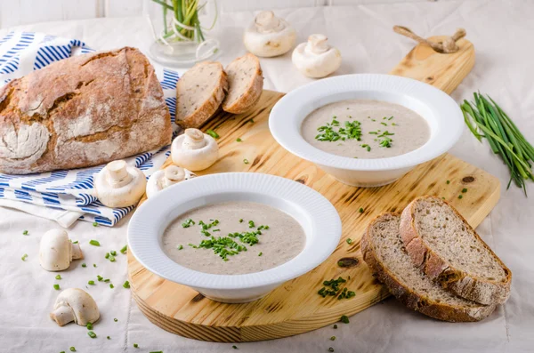 Fløte med soppsuppe – stockfoto