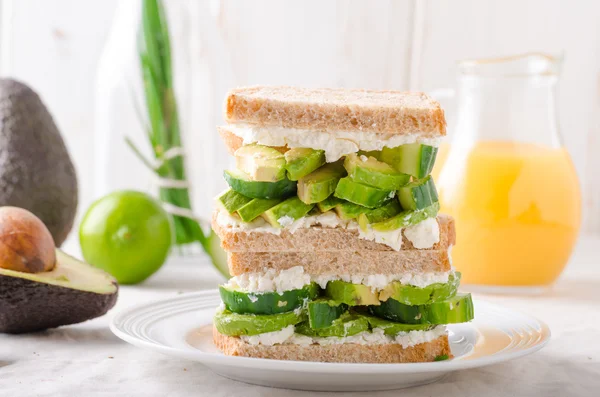 Bio gezonde sandwich — Stockfoto