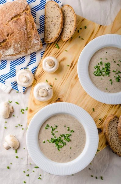 Cream of mushroom soup — Stock Image Cream of mushroom soup Stock Image