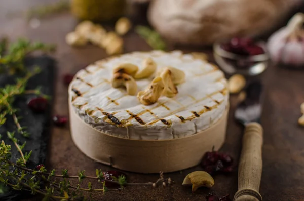 Grilovaný sýr camembert — Stock fotografie