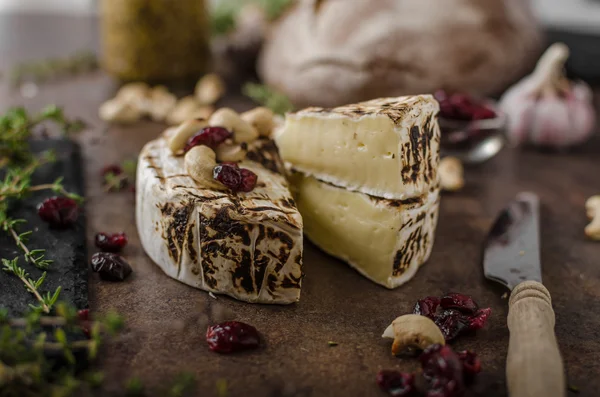 Grilovaný sýr camembert — Stock fotografie